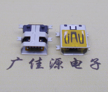 福建迷你USB插座,MiNiUSB母座,10P/全贴片带固定柱母头