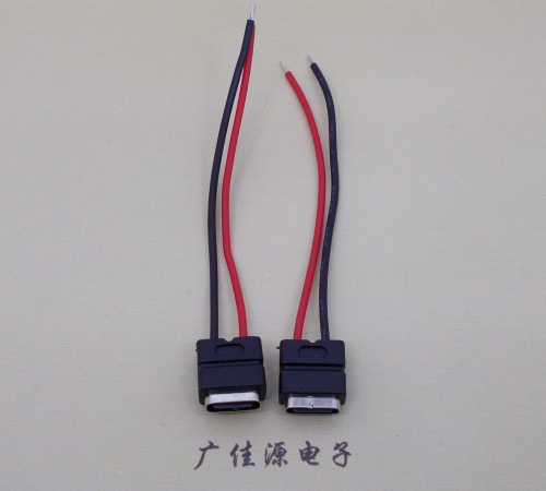 福建type c2p防水母座焊线式带线注塑成型带接线端子/不带接线端子充电连接器