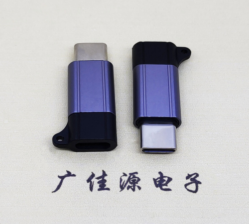 福建Type-C母转Type-C公 USB3.1 PD100W快冲接口